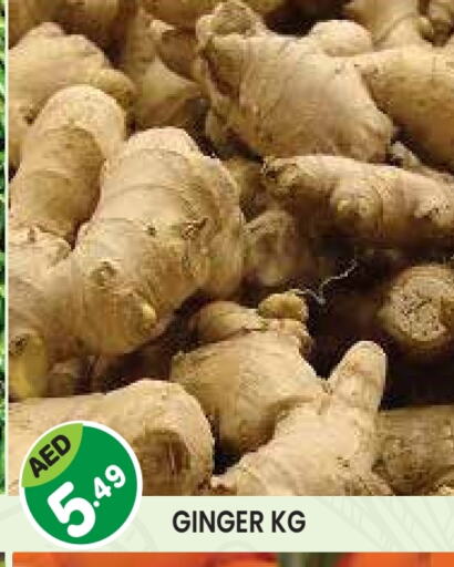 Ginger available at Baniyas Spike  in UAE - Abu Dhabi