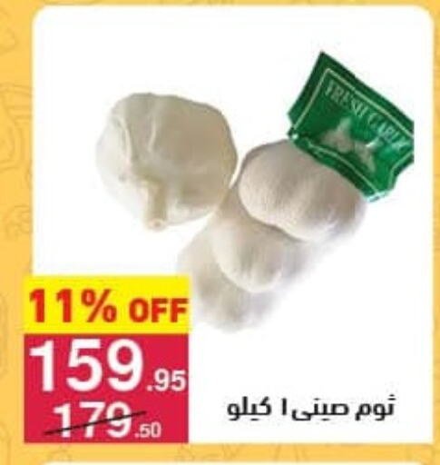 Garlic available at Mahmoud El Far in Egypt - Cairo