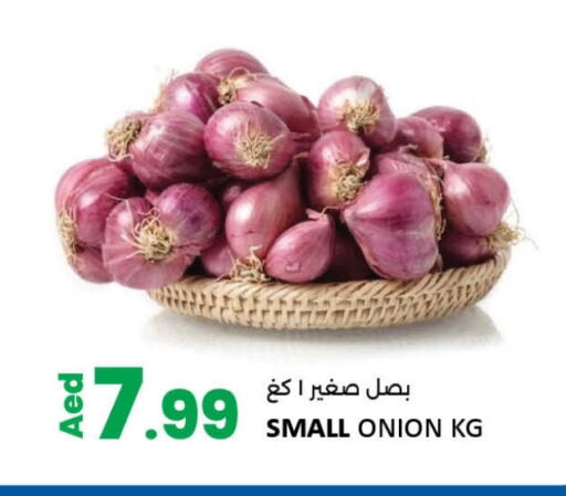 Onion available at LIYAKKAS HYPERMARKET LLC in UAE - Abu Dhabi