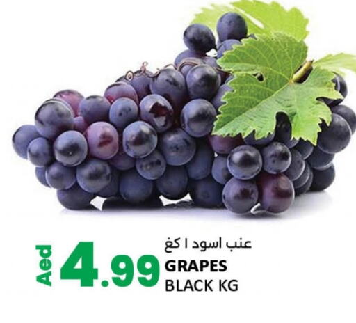 Grapes available at LIYAKKAS HYPERMARKET LLC in UAE - Abu Dhabi