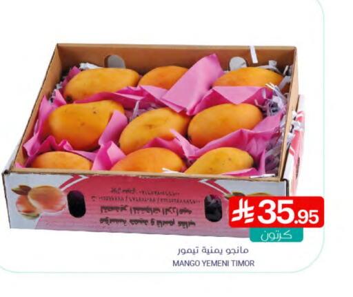 Mangoes from Yemen available at Muntazah Markets in KSA, Saudi Arabia, Saudi - Qatif