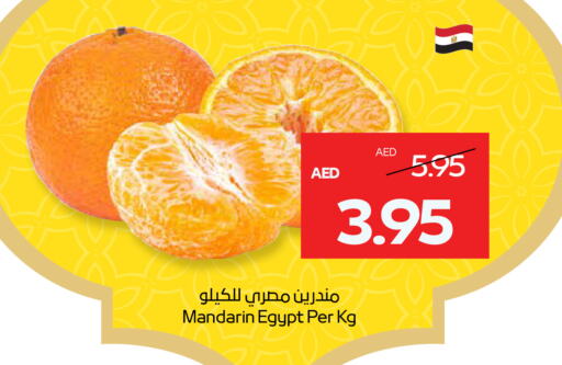 Orange from Egypt available at ADCOOP in UAE - Al Ain