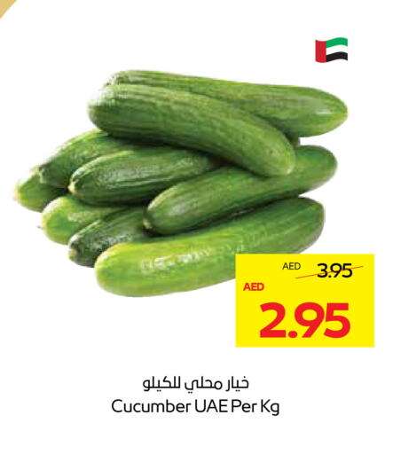 Cucumber available at ADCOOP in UAE - Abu Dhabi