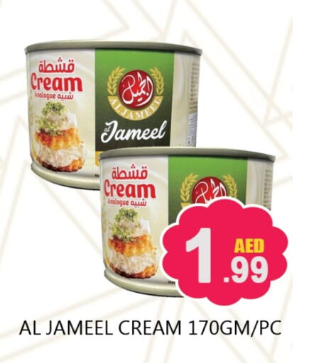 AL JAMEEL Analogue cream available at Souk Al Mubarak Hypermarket in UAE - Sharjah / Ajman