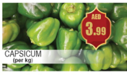 Chilli / Capsicum available at Gulf Hypermarket LLC in UAE - Ras al Khaimah