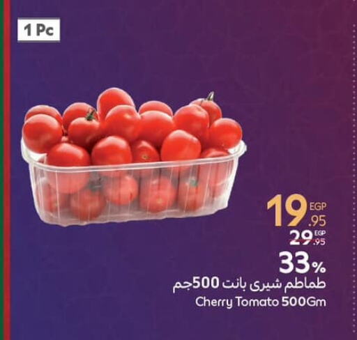 Tomato available at Carrefour  in Egypt - Cairo