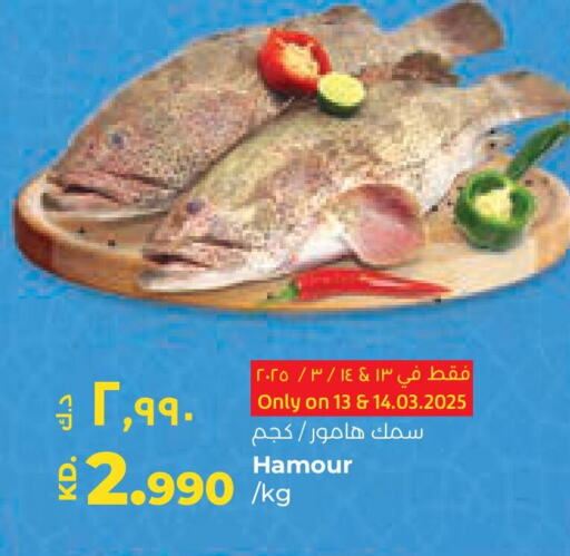 available at لولو هايبر ماركت in الكويت - مدينة الكويت