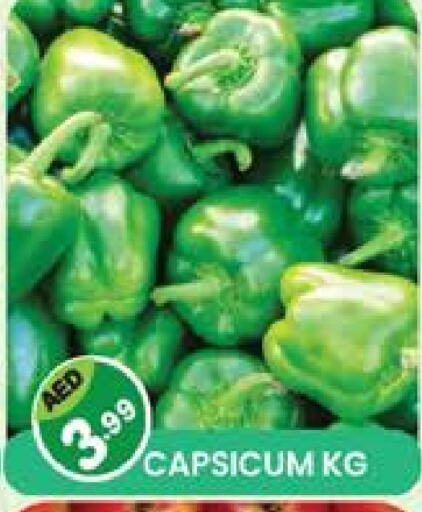 Chilli / Capsicum available at Baniyas Spike  in UAE - Ras al Khaimah