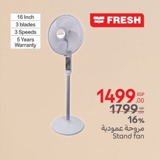 FRESH Fan available at Carrefour  in Egypt - Cairo