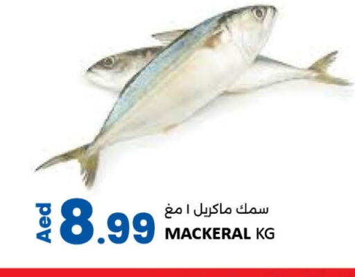 available at ليياكاس هايبرماركت in الإمارات العربية المتحدة , الامارات - أبو ظبي