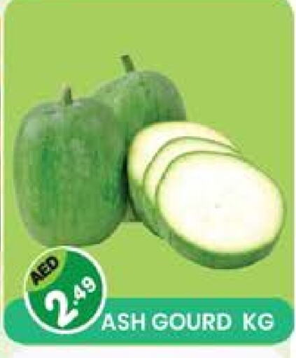 Gourd available at Baniyas Spike  in UAE - Umm al Quwain