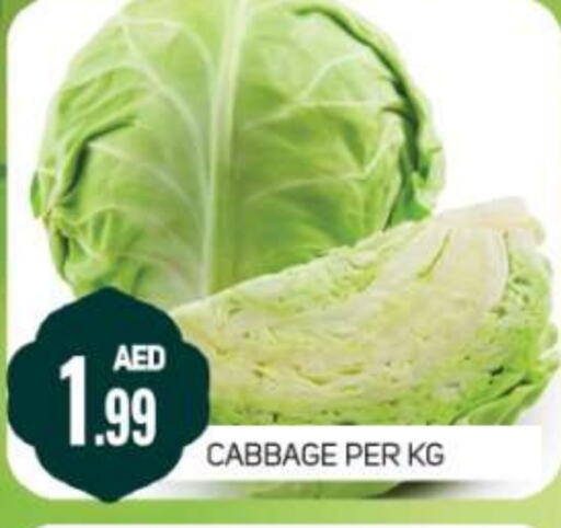 Cabbage available at Daylife Hypermarket LLC in UAE - Dubai