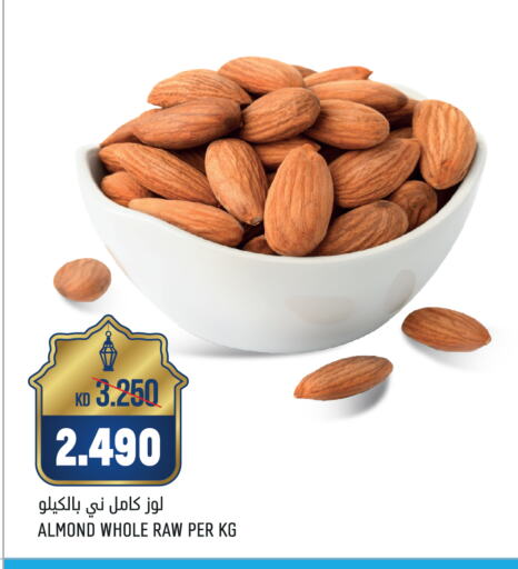 available at أونكوست in الكويت - محافظة الأحمدي