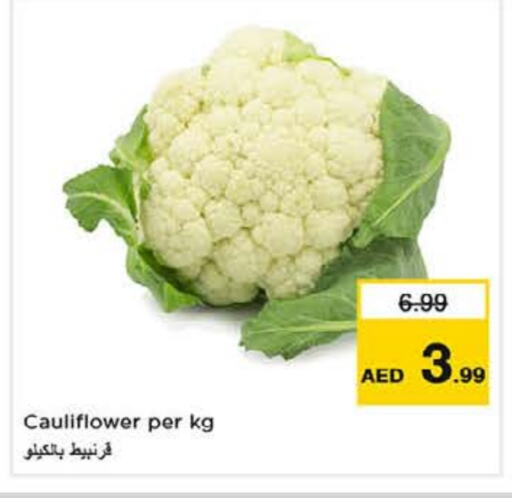 Cauliflower available at Nesto Hypermarket in UAE - Sharjah / Ajman