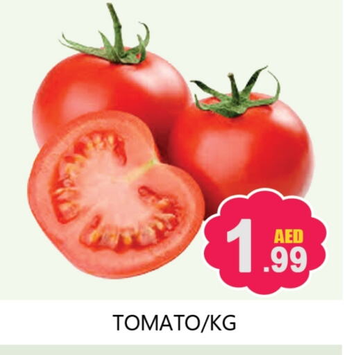 Tomato available at Souk Al Mubarak Hypermarket in UAE - Sharjah / Ajman