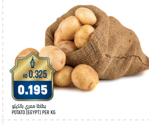 Potato from Egypt available at Oncost in Kuwait - Ahmadi Governorate