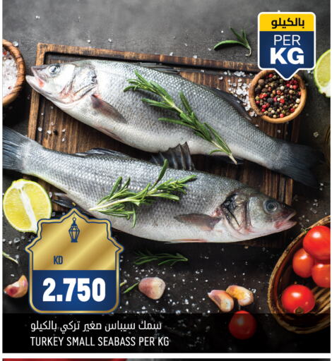 available at Oncost in Kuwait - Jahra Governorate