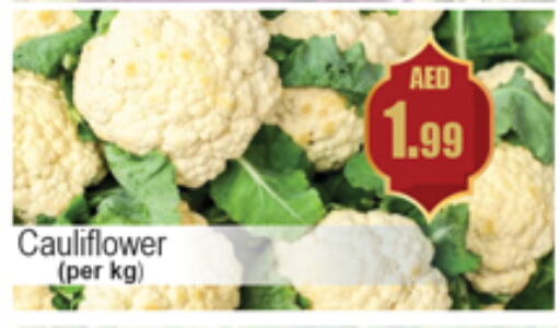 Cauliflower available at Gulf Hypermarket LLC in UAE - Ras al Khaimah