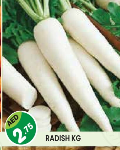 Radish available at Baniyas Spike  in UAE - Abu Dhabi