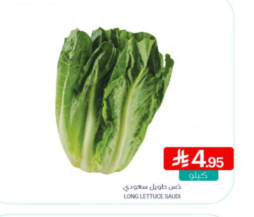 Lettuce from Saudi Arabia available at اسواق المنتزه in مملكة العربية السعودية, السعودية, سعودية - القطيف‎