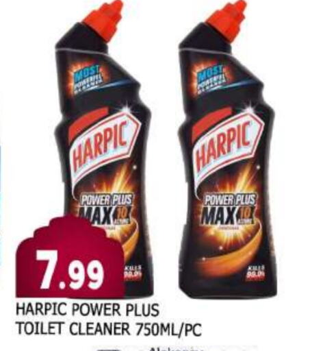 HARPIC Toilet / Drain Cleaner available at AL MADINA in UAE - Sharjah / Ajman