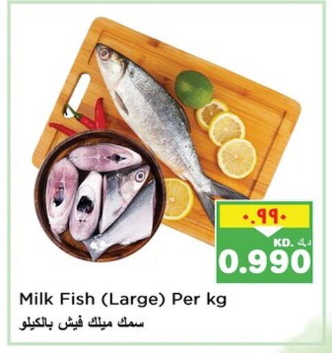 available at Nesto Hypermarkets in Kuwait - Ahmadi Governorate