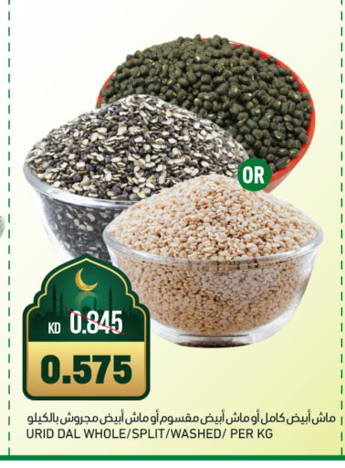 available at Gulfmart in Kuwait - Ahmadi Governorate