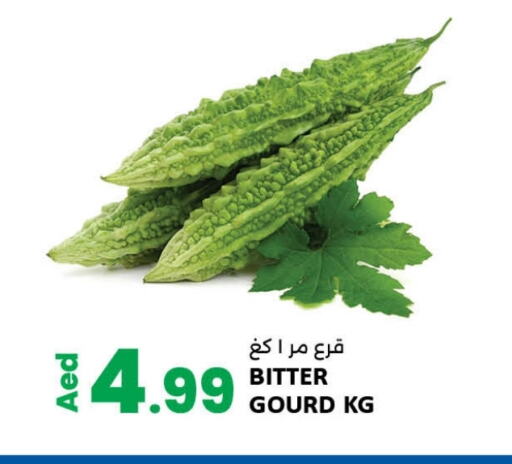 Gourd available at LIYAKKAS HYPERMARKET LLC in UAE - Abu Dhabi