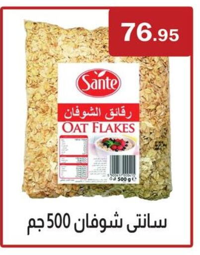 Oats available at ABA market in Egypt - Cairo