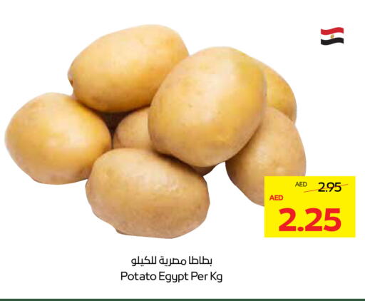 Potato from Egypt available at ADCOOP in UAE - Abu Dhabi