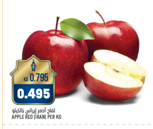 Apples from Iran available at Oncost in Kuwait - Jahra Governorate