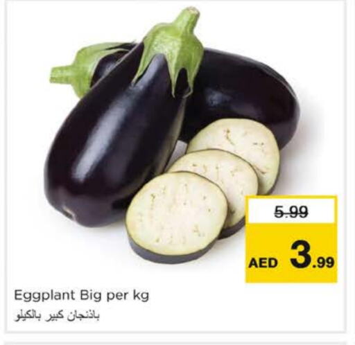 Eggplant available at نستو هايبرماركت in الإمارات العربية المتحدة , الامارات - الشارقة / عجمان