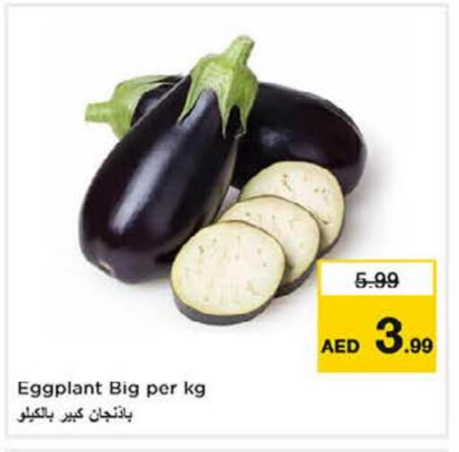 Eggplant available at نستو هايبرماركت in الإمارات العربية المتحدة , الامارات - الشارقة / عجمان