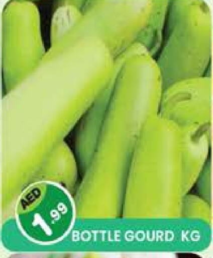 Gourd available at Baniyas Spike  in UAE - Umm al Quwain