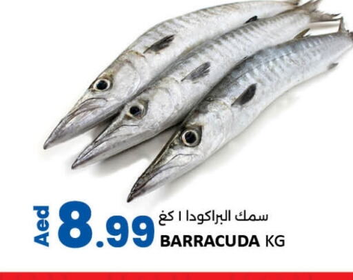 available at LIYAKKAS HYPERMARKET LLC in UAE - Abu Dhabi