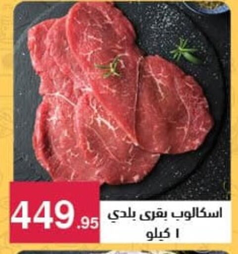 available at محمود الفار in Egypt - القاهرة