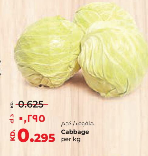 Cabbage available at Lulu Hypermarket  in Kuwait - Kuwait City