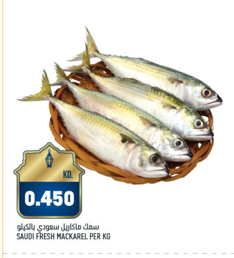 available at Oncost in Kuwait - Jahra Governorate