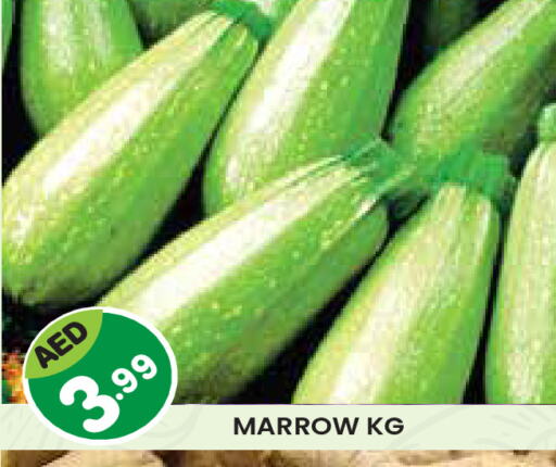 Marrow available at سنابل بني ياس in الإمارات العربية المتحدة , الامارات - ٱلْعَيْن‎