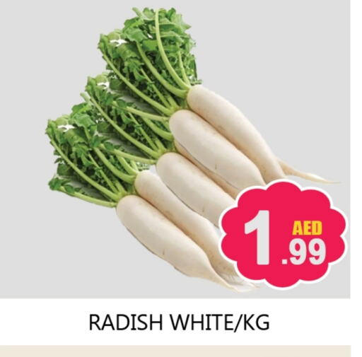 Radish available at Souk Al Mubarak Hypermarket in UAE - Sharjah / Ajman