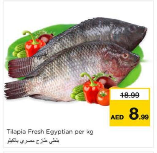 available at Nesto Hypermarket in UAE - Fujairah