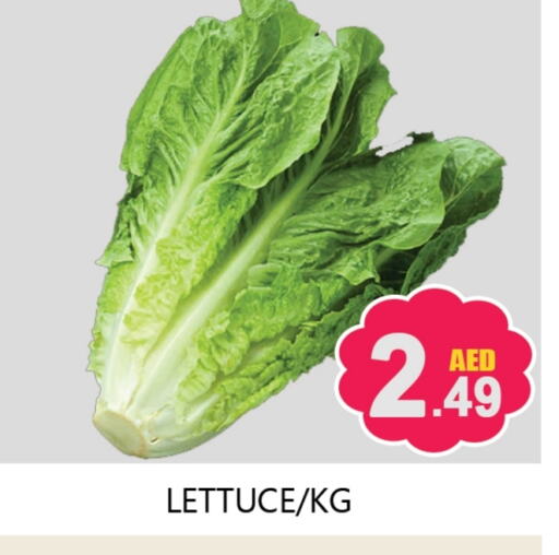 Lettuce available at سوق المبارك هايبرماركت in الإمارات العربية المتحدة , الامارات - الشارقة / عجمان