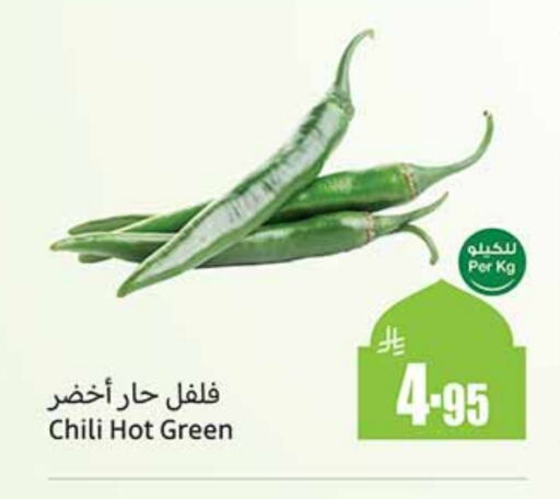 Chilli / Capsicum available at Othaim Markets in KSA, Saudi Arabia, Saudi - Tabuk