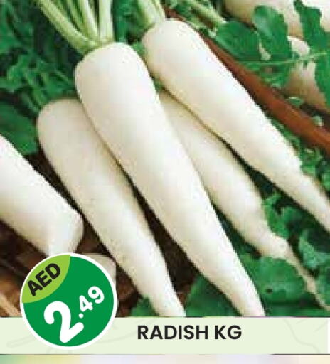 Radish available at Baniyas Spike  in UAE - Abu Dhabi