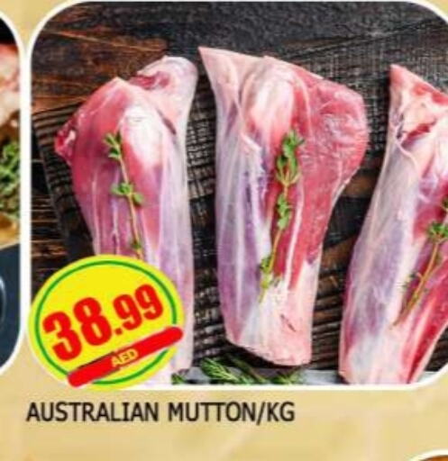 Mutton / Lamb available at AL MADINA in UAE - Sharjah / Ajman