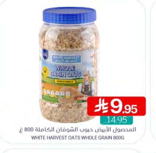 Oats available at Muntazah Markets in KSA, Saudi Arabia, Saudi - Dammam