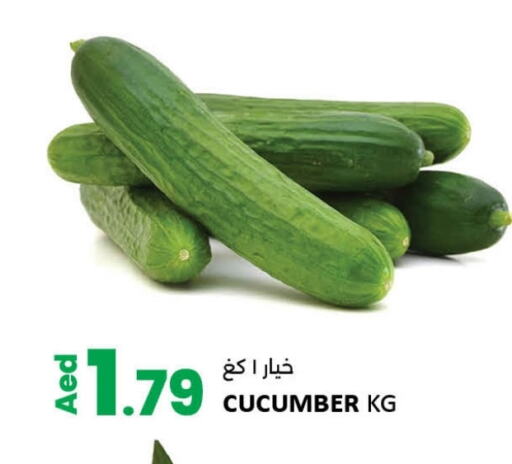 Cucumber available at LIYAKKAS HYPERMARKET LLC in UAE - Abu Dhabi