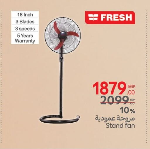 FRESH Fan available at Carrefour  in Egypt - Cairo