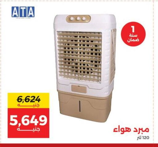 available at رنين in Egypt - القاهرة