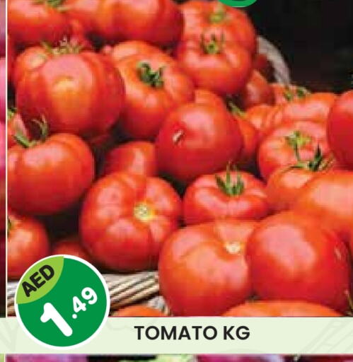 Tomato available at Baniyas Spike  in UAE - Abu Dhabi